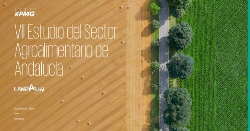 estudio-sector-agroalimentario-andalucia