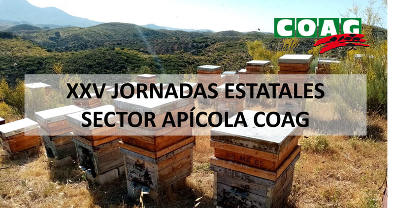 Apicultores de toda España debatirán sobre el presente y el futuro del sector en Málaga