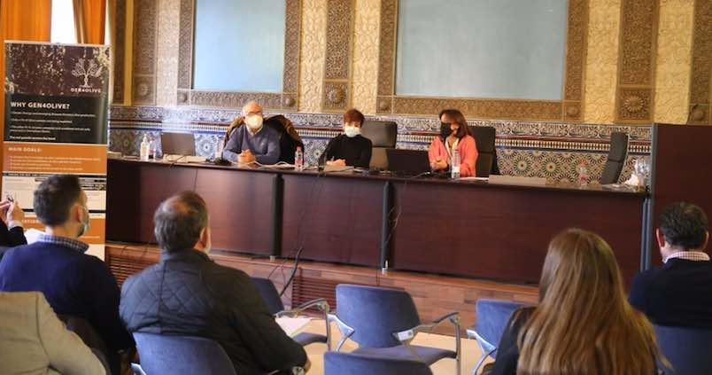 Córdoba, epicentro de la innovación olivarera gracias a Gen4Olive