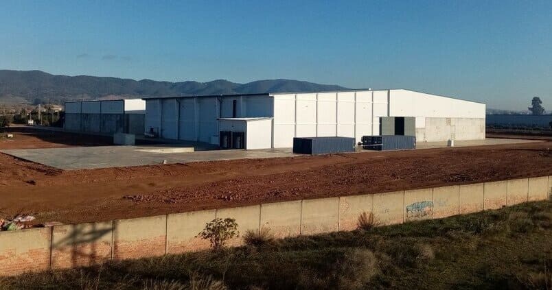 La planta almendrera de Dcoop en Villarrubia consigue la certificación IFS