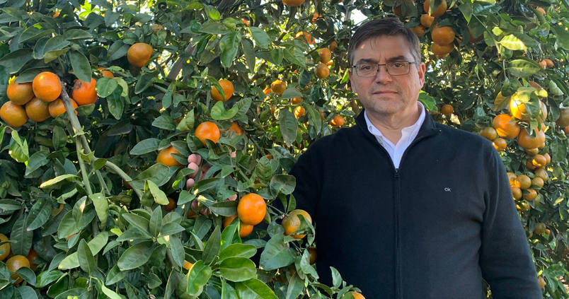 Eurosemillas ensaya su mandarina Tango en superintensivo en Sevilla