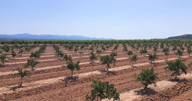 Asaja celebra importantes avances legislativos en beneficio del sector agrario