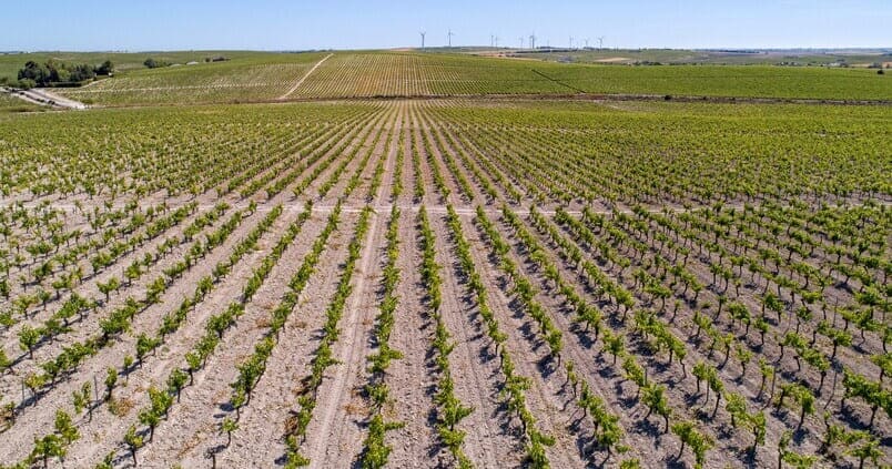 Dudas del sector ecológico
