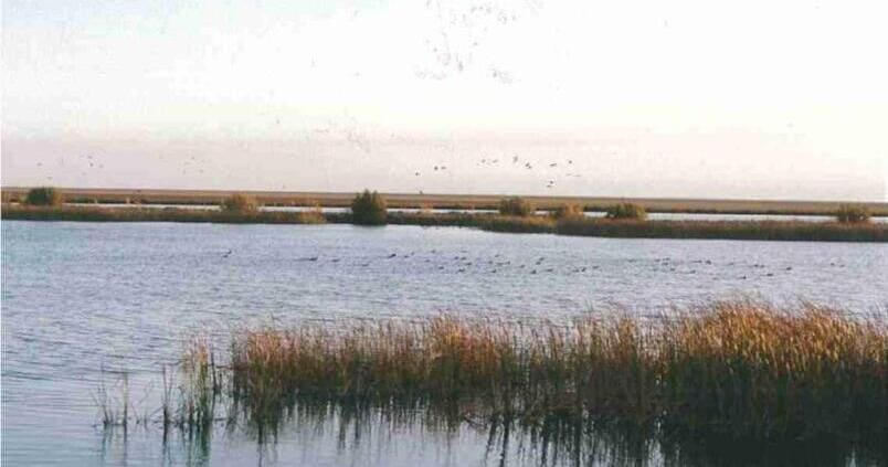 La degradación de los humedales en Andalucía sigue imparable por la sequía y la sobreexplotación de acuíferos