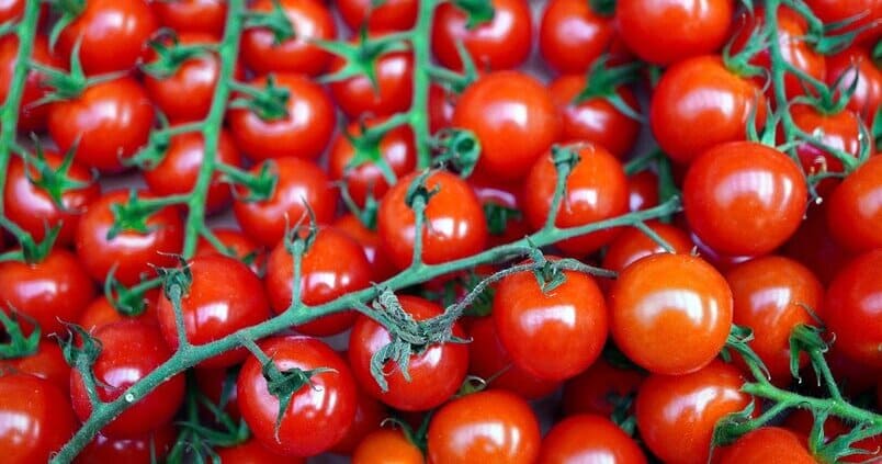 cherry
