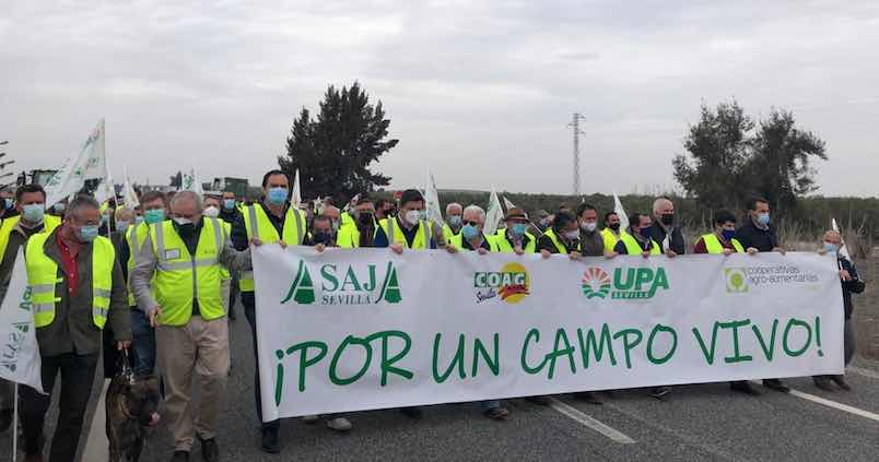 El campo sevillano lanza una «llamada de auxilio»: más de 500 tractores y 4.000 agricultores cortan la AP-4