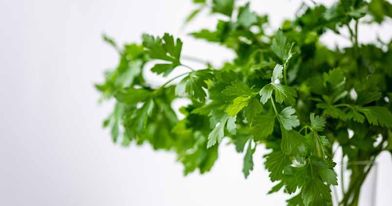 Los superalimentos «made in Andalucía» que tienes en la despensa y no lo sabías