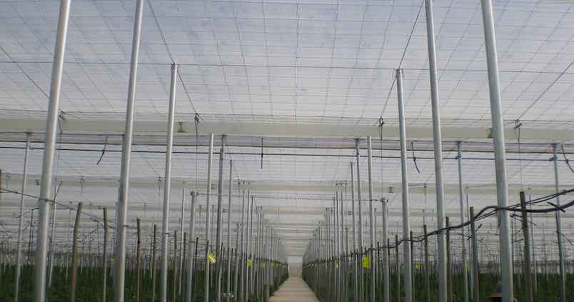 Sube el gasóleo, los fertilizantes….y ahora el plástico: la situación es «inasumible» en Almería