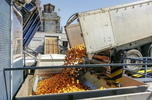 Alertan de que el acuerdo con Mercosur no solucionaría la falta de cereales pero sí perjudicaría a los cítricos