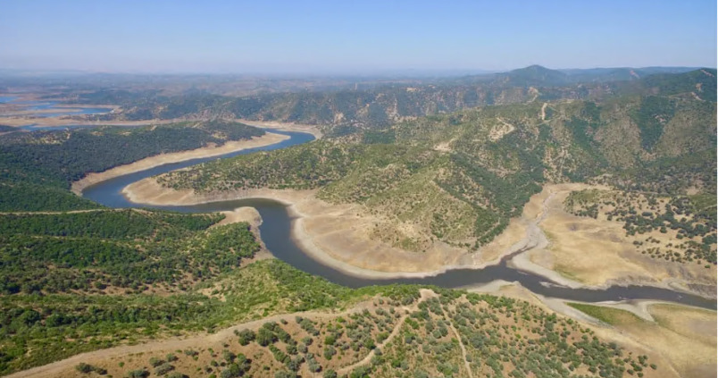 El campo andaluz, atractivo para inversores: estas son las grandes fincas que se venden online en la región