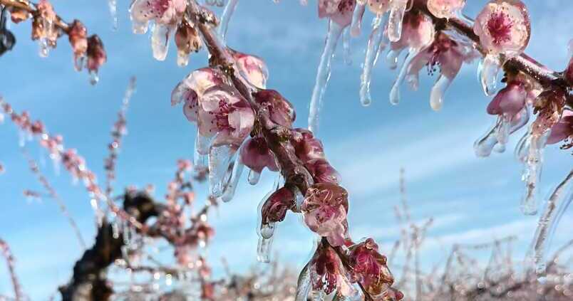 Agroseguro arranca el año con un nuevo nombramiento en Andalucía