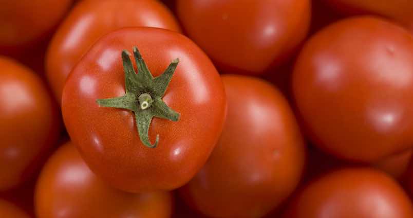 Desgranando al tomate andaluz: ¿qué variedad hay que elegir para cada uso y cuál tiene mejor sabor?