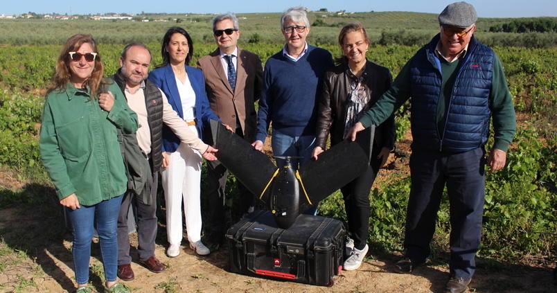 Buscando la huella espectral que identifica la calidad de la aceituna