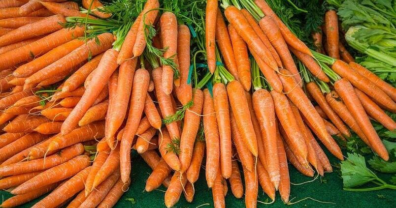 La zanahoria andaluza no tiene quien la compre