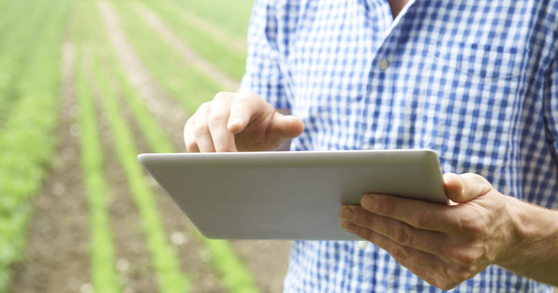“E-Learning Data”, a plataforma que permite adquirir competências digitais na agro-digitalização