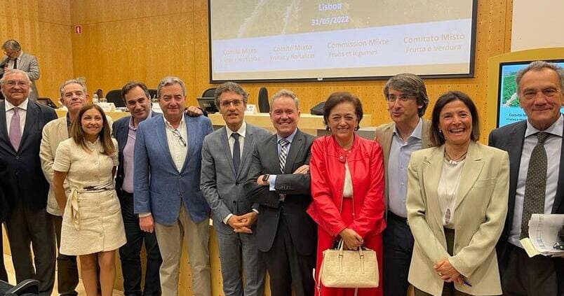 Los productores de berries reclaman las mismas autorizaciones fitosanitarias que hay en Italia o Portugal