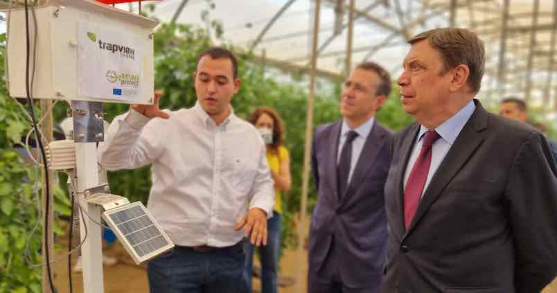 Andalucía contará con 120 millones para modernizar los invernaderos