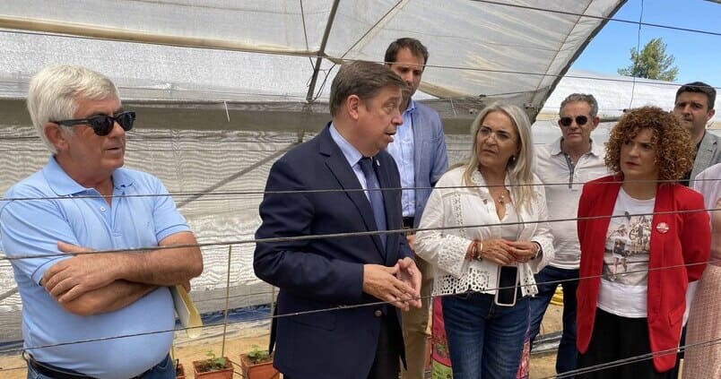 Los productores onubenses de berries insisten al ministro: si no se autorizan más fitosanitarios, no hay cultivos
