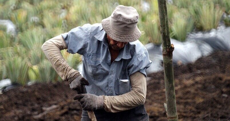 El campo advierte de que la Reforma Laboral está «destruyendo» el empleo agrario