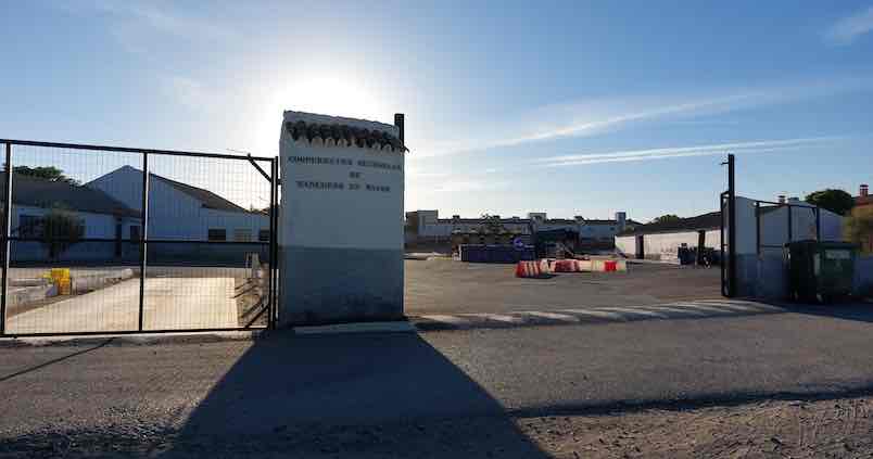 La cooperativa Cosanlucar se adhiere a Oleand Manzanilla Olive