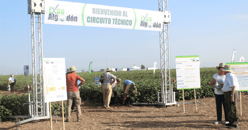 expoalgodon-evento-sevilla