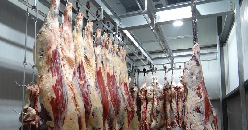 mataderos-ganado-ganaderia