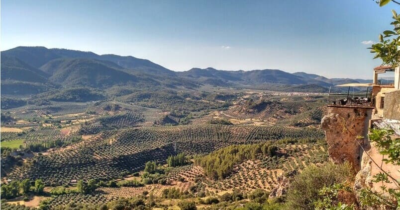 Malas previsiones en la DO Sierra de Segura: se espera un 57% menos de producción