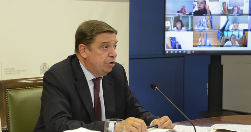 planas-ministro-consejo