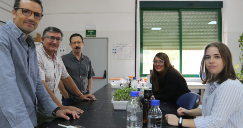 ¿Cómo responden las plantas al déficit de hierro? Descubren su modus operandi