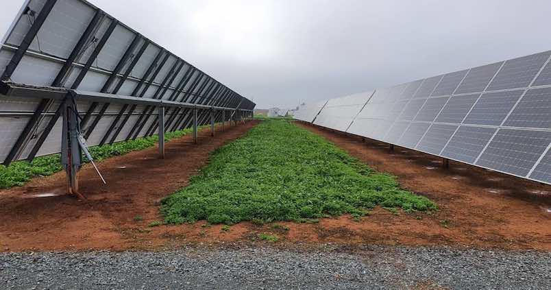 Regantes sevillanos evitan la emisión a la atmósfera del mismo CO2 que 5.700 árboles