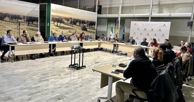La Xylella y el nuevo reglamento europeo centran el debate sobre sanidad vegetal