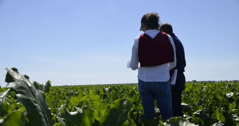 Alianza entre Junta y campo para presentar alegaciones conjuntas al Plan Estratégico