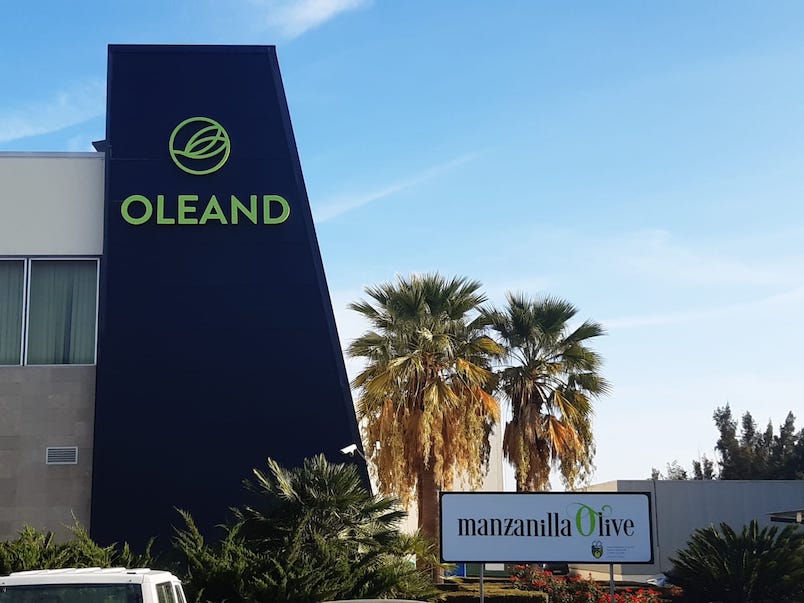 oleand-manzanille-olive copia