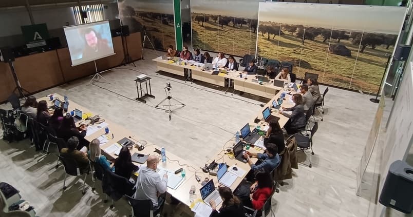 proyecto-robin-encuentro