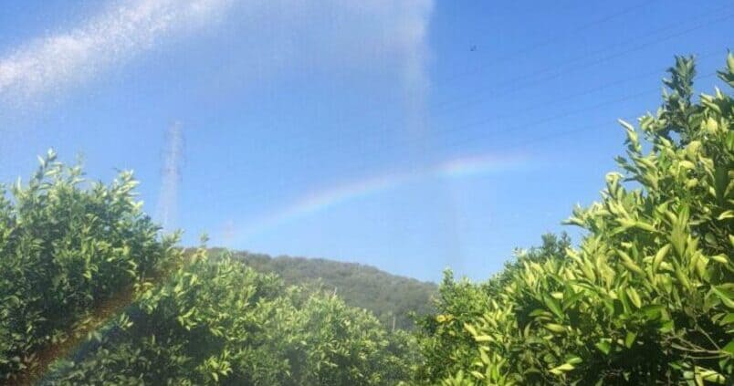 La Mesa Social del Agua, con los agricultores y ganaderos