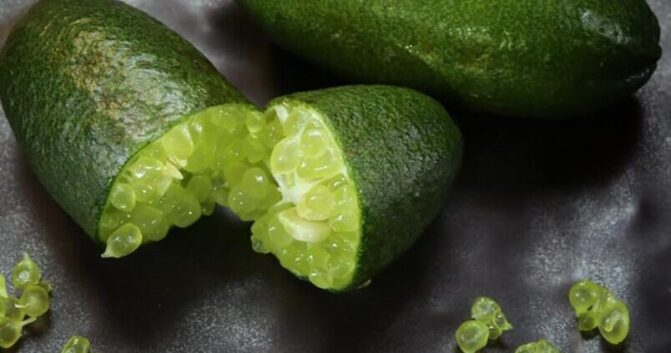 Cubitos de hielo con caviar cítrico de Antequera, la innovación «frutera» en Andalucía
