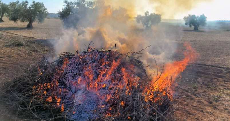 Andalucía prolonga la prohibición de quemas agrícolas hasta el 15 de octubre