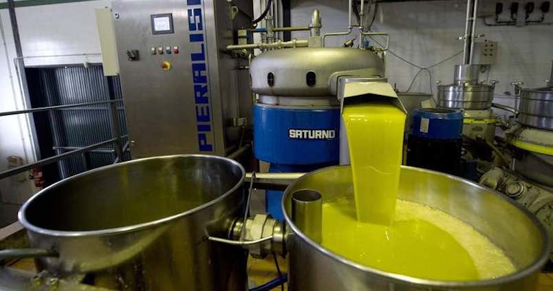 Las reservas de aceite se hunden un 41% en Córdoba a pocos meses de una nueva campaña
