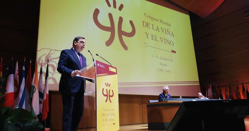 Más de 800 profesionales convierten a Cádiz en el epicentro del sector vitivinícola