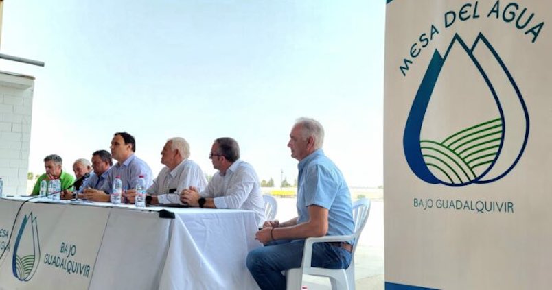 La sequía se cobra un millón de jornales al año en el Bajo Guadalquivir