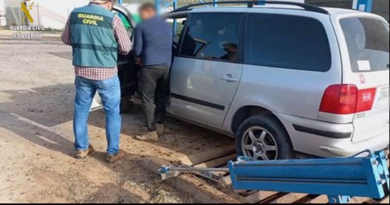 Municipios de Jaén se preparan para los robos de aceituna, «especialmente codiciada» este año