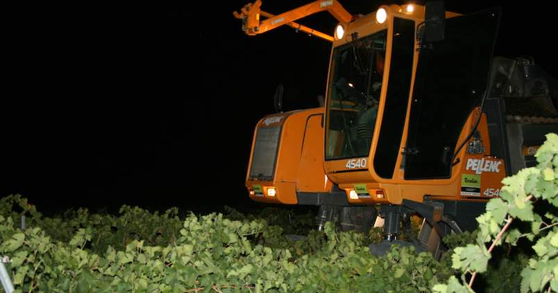 vendimia-cordoba-noche