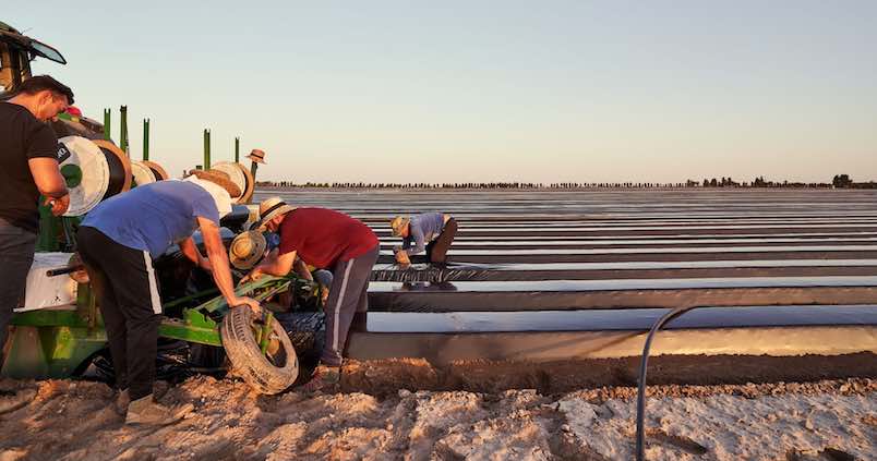 Construir las infraestructuras pendientes en la provincia de Huelva aumentaría el agua disponible un 111%