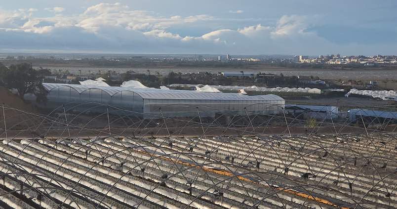 El Gobierno destina más de 53 millones de euros para apoyar a agricultores y ganaderos afectados por la DANA