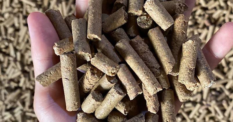 Empresas andaluzas crean un producto para alimentación animal pionero a base de capota de almendra