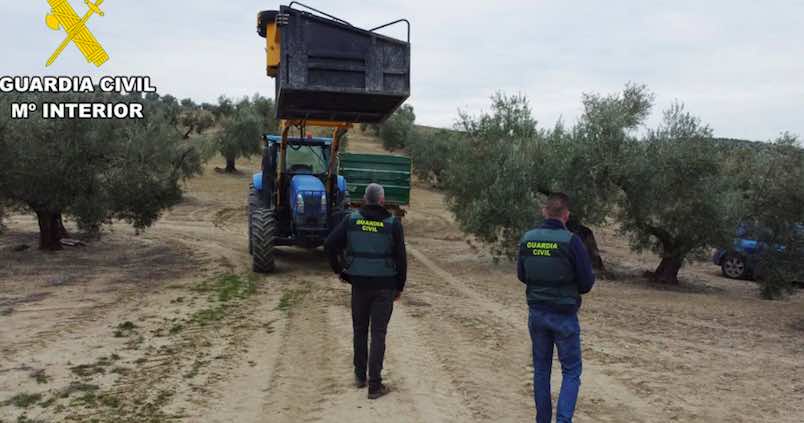 Dos detenidos en Bujalance por sustraer 5.000 kilos de aceituna en una finca