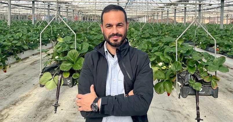 Así es la nueva generación de fresas del campo onubense