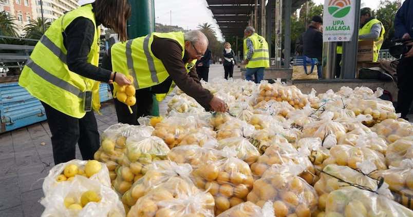 limones-recur-malaga