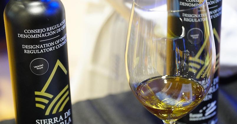 La DOP Sierra de Cazorla acaba la campaña con una producción de 67 millones de kilos de aceituna