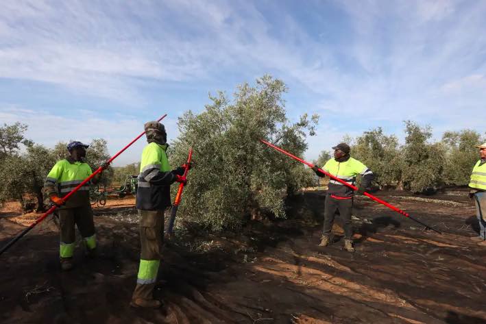Así es el cuaderno digital del que se quejan todos los agricultores